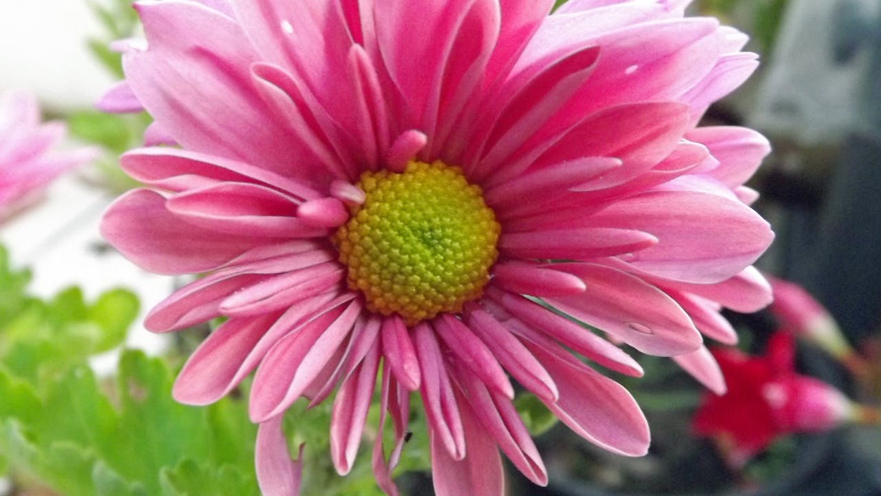 Leak Detection services Toronto GTA